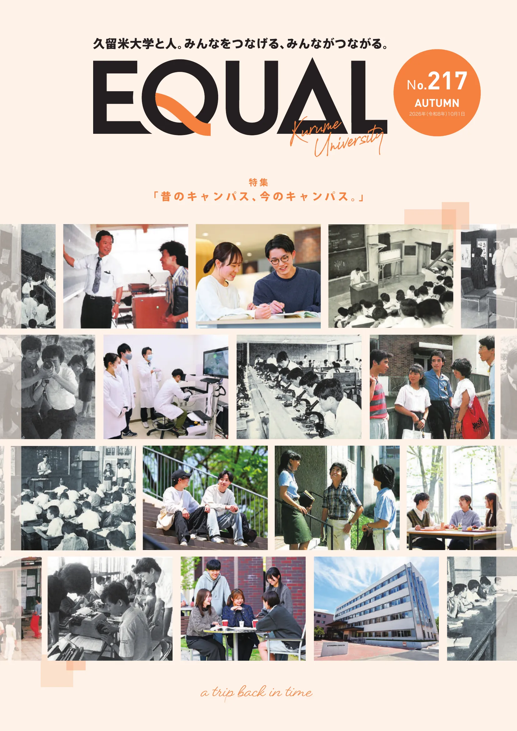 第217号