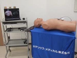 心臓・腹部超音波検査トレーニングシミュレータ