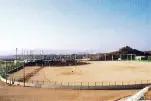 藤山野球場