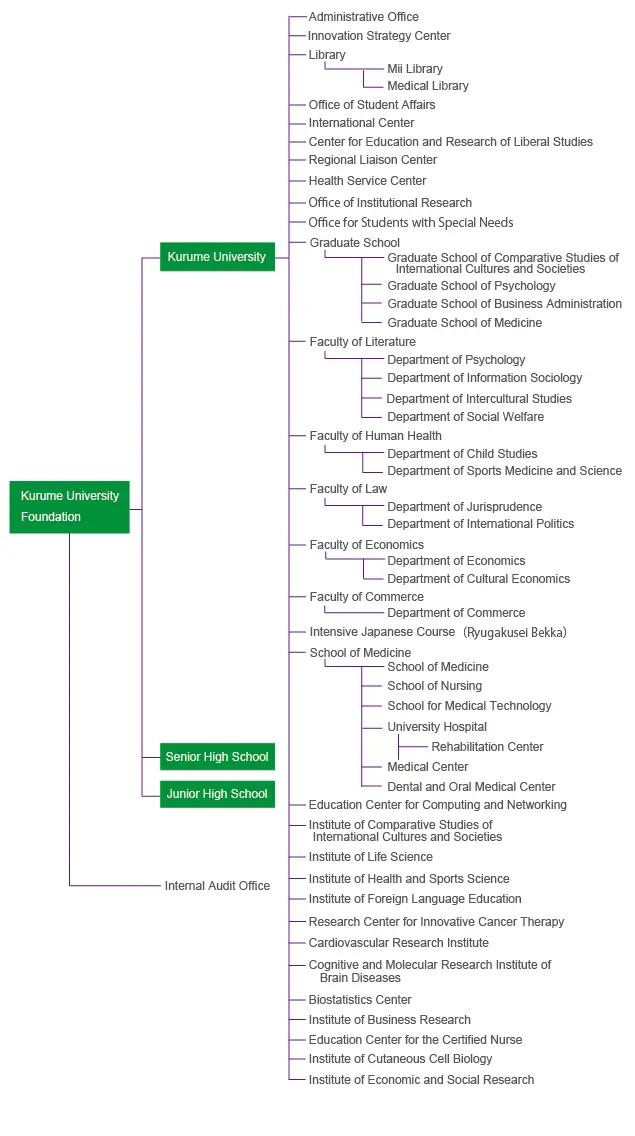 Organization Chart