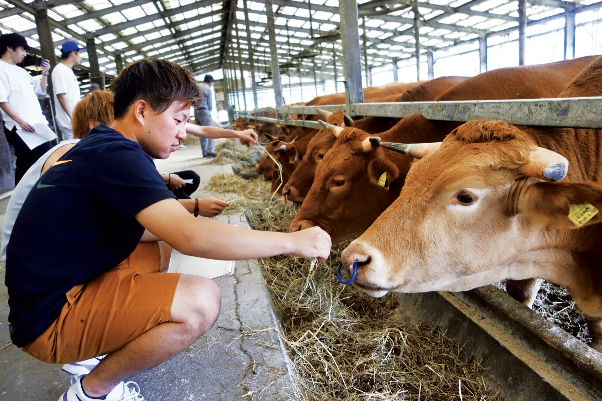 主体性を育てる学びのプログラム